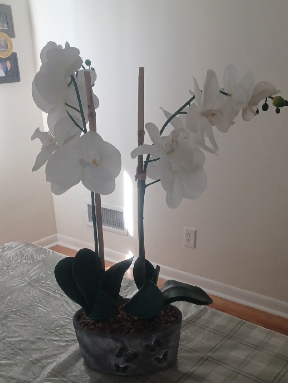 White Phalaenopsis Faux Orchid in Gray Planter - Unbranded